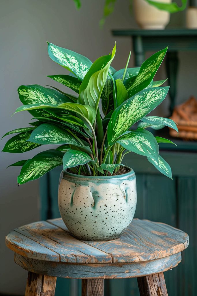 Ultra-realistic photograph of a Chinese Evergreen plant with attractive, patterned leaves in a stylish indoor environment.