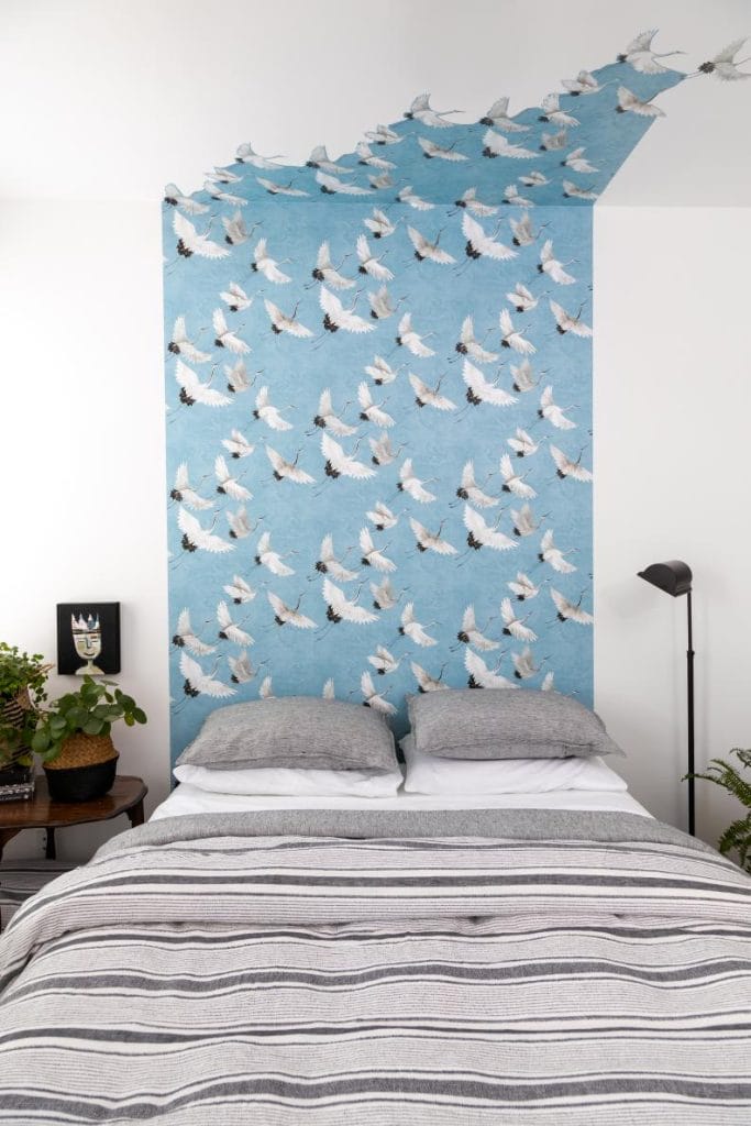 Dorm room with bird wallpaper accent wall.