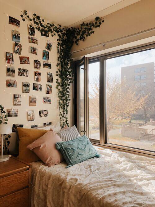 A nature-inspired dorm room nook with leafy vines, natural light, and photo collage walls.