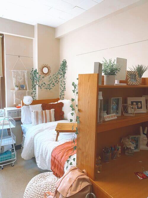 A nature-inspired dorm room with green accents, hanging plants, and earthy tones.