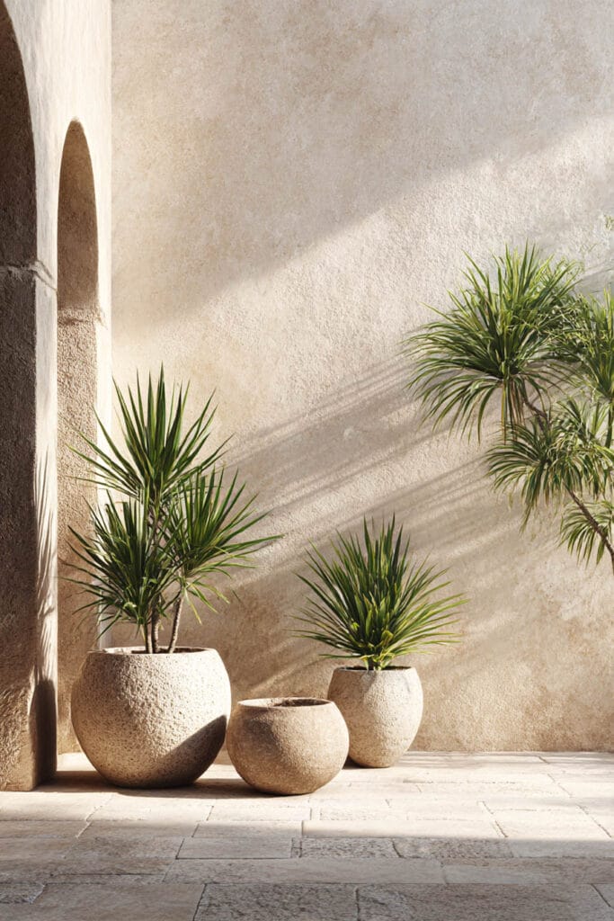 Minimalist low water patio with yucca plants in textured stone planters against a warm plaster wall with natural sunlight