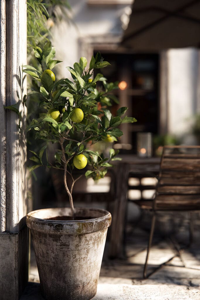 Potted citrus tree on Mediterranean balcony with rustic planter, outdoor dining area, and warm natural sunlight