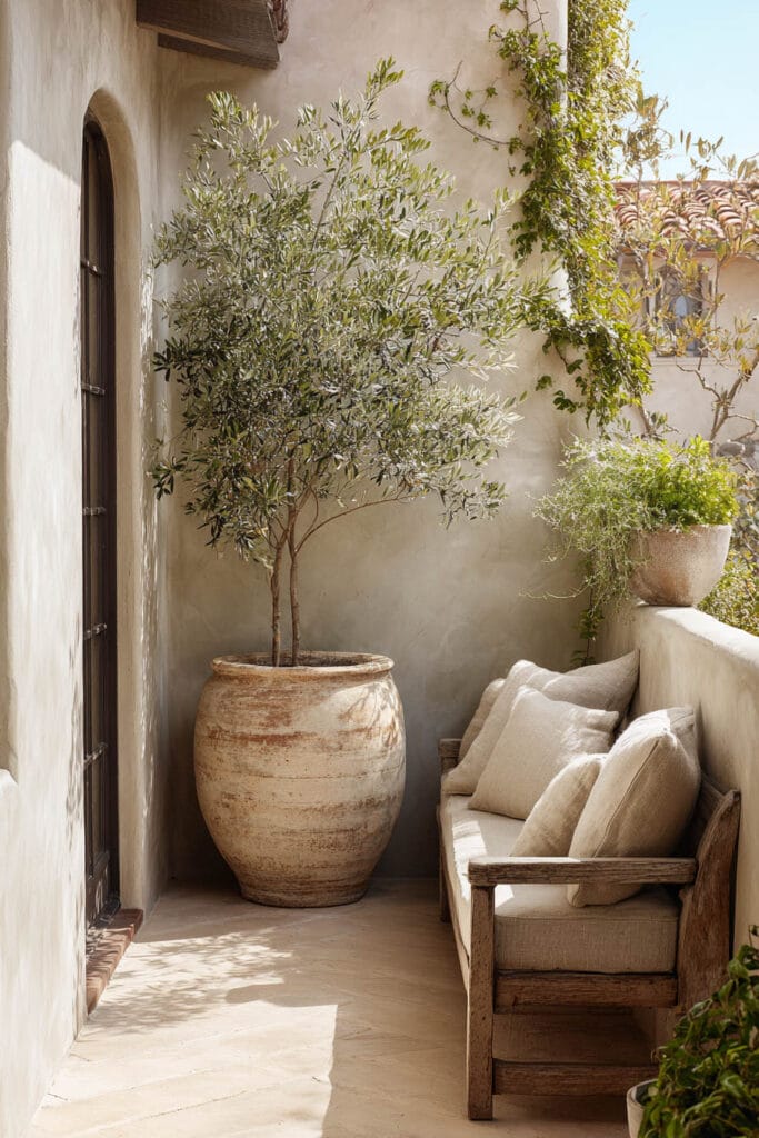 Mediterranean balcony with olive tree in large terracotta urn, rustic wooden bench, neutral cushions, climbing vines, and warm Mediterranean decor.